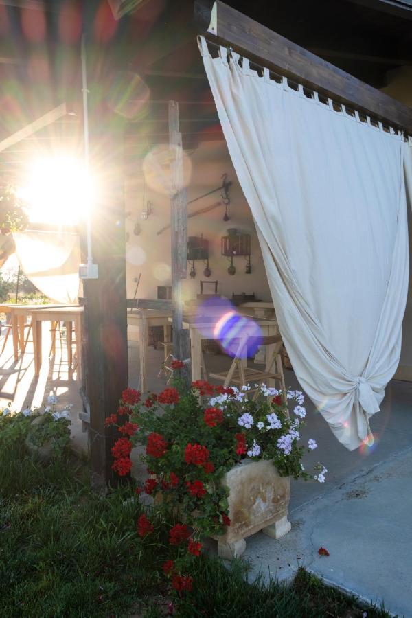 A Lu Fanizza Acomodação com café da manhã Cutrofiano Exterior foto